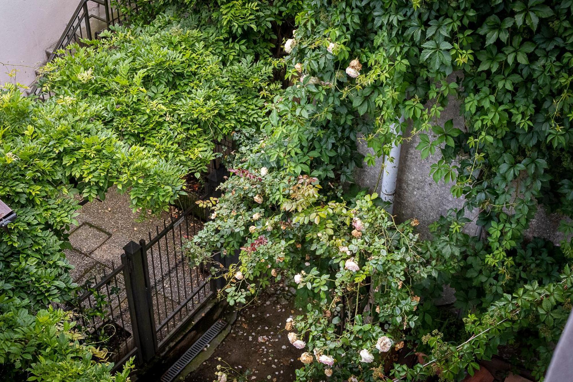 Fiordaliso Apartment 코모 외부 사진